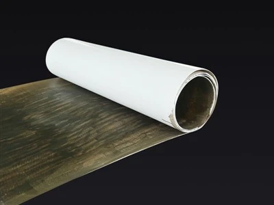 PTFE سوڈیم شیٹ